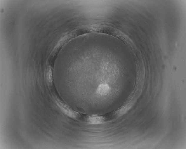 X0000080760336200612151416
