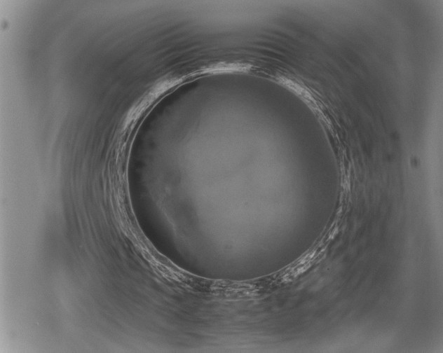 X0000080760337200612151415