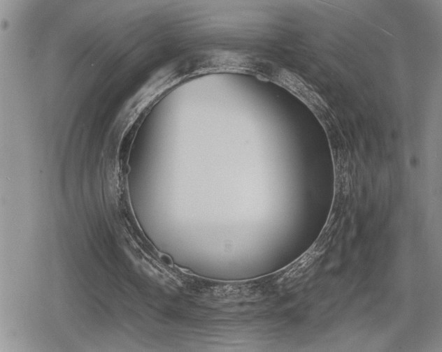 X0000080760338200612151415
