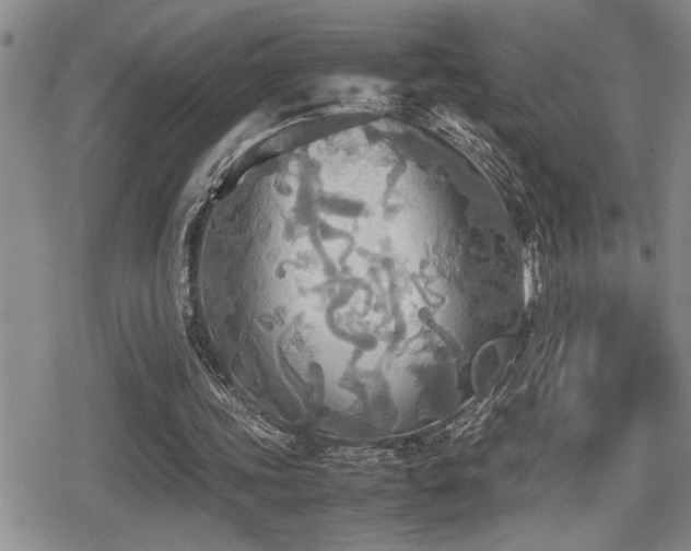 X0000080760339200612151415