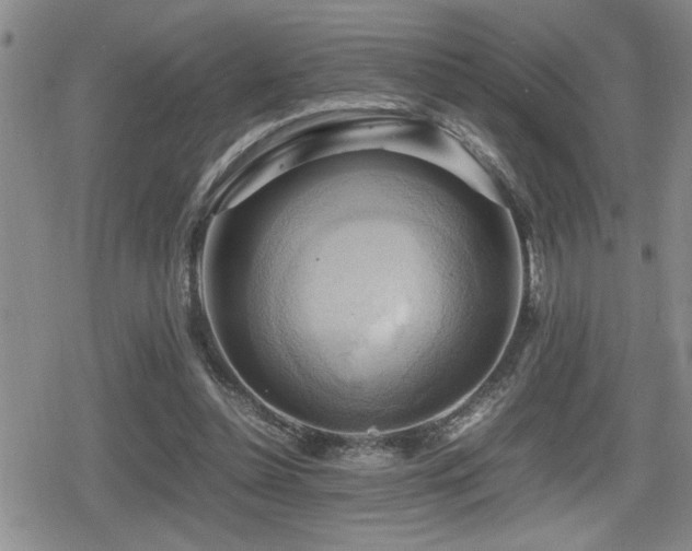X0000080760348200612151415
