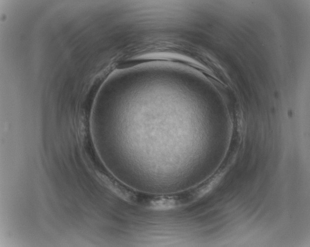 X0000080760362200612151415