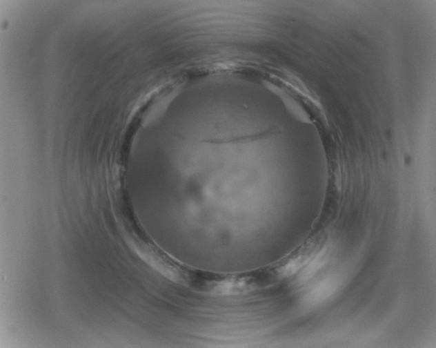 X0000080760366200612151415