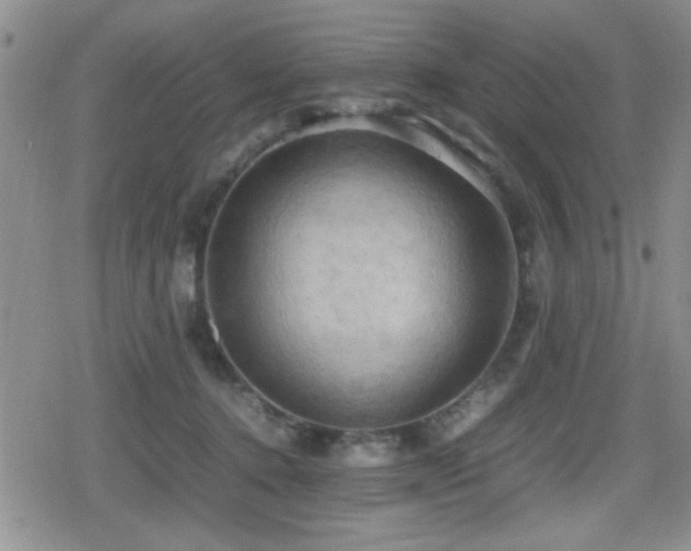 X0000080760368200612151415