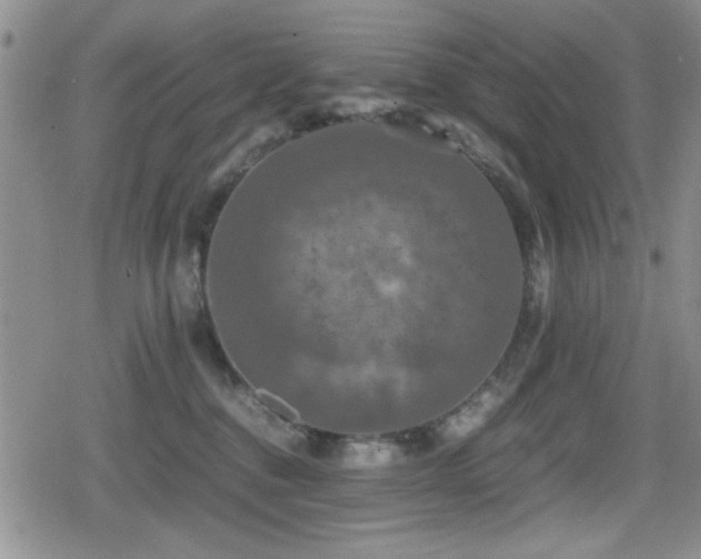 X0000080760376200612151416
