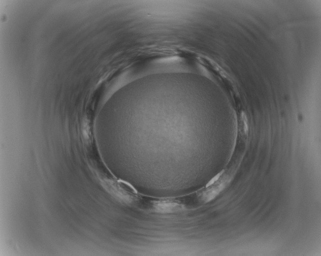 X0000080760380200612151416