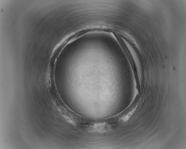 X0000080760388200612151415