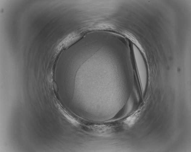 X0000080760389200612151415