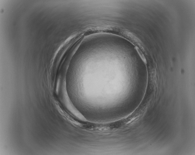 X0000080760395200612151415