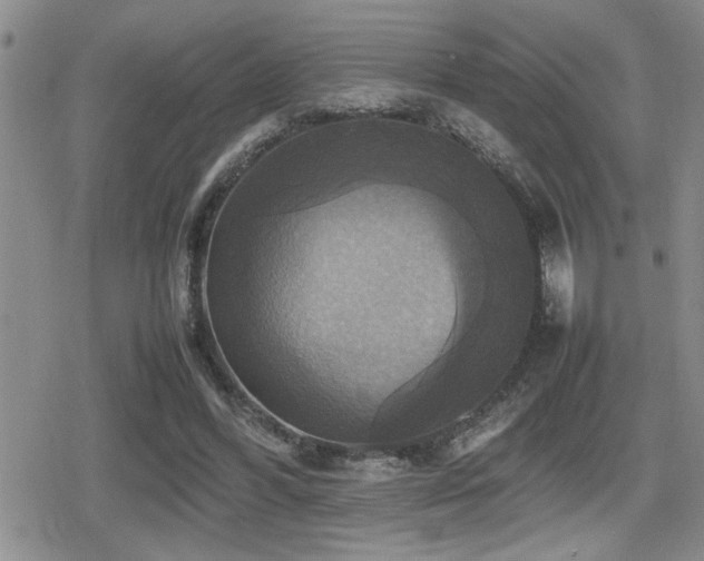 X0000080760396200612151415