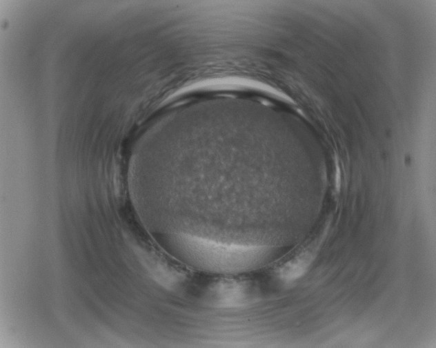 X0000080760416200612151414