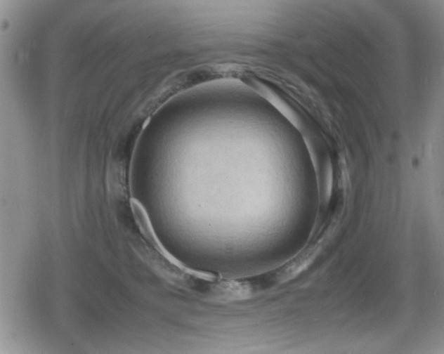 X0000080760421200612151414