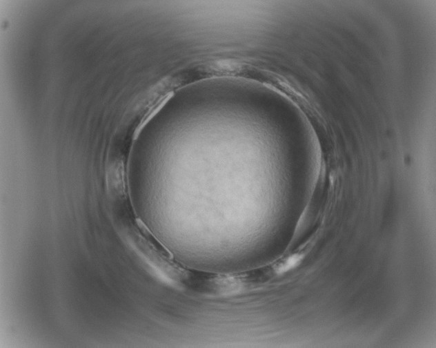X0000080760425200612151414