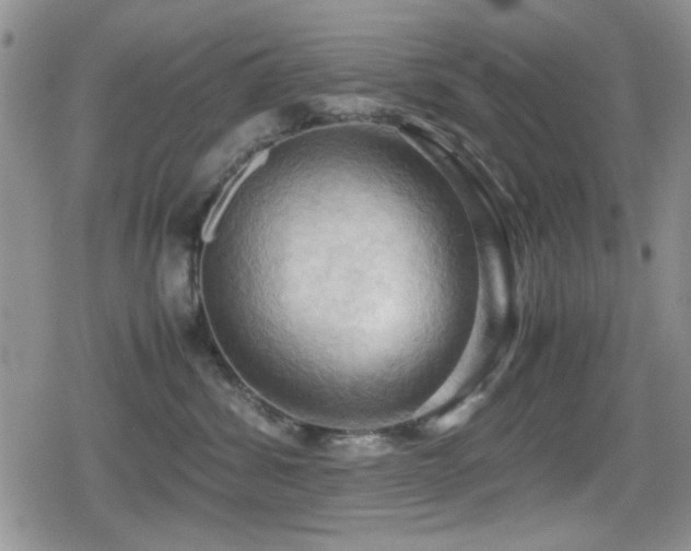 X0000080760428200612151414