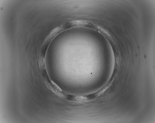 X0000080760429200612151414