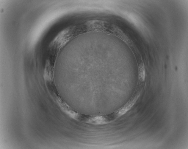 X0000080760431200612151414