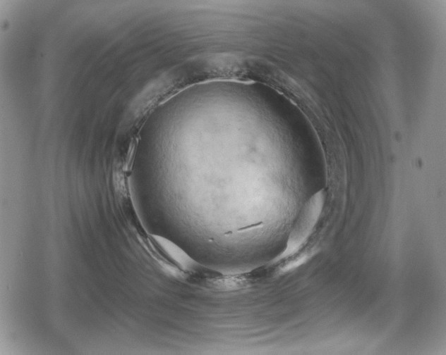 X0000080760432200612151414