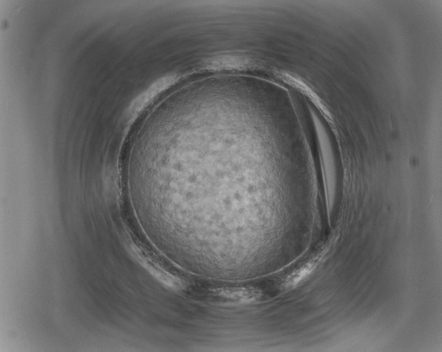 X0000080760439200612151413