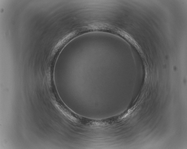 X0000080760442200612151413