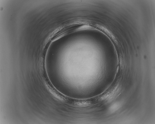X0000080760445200612151414