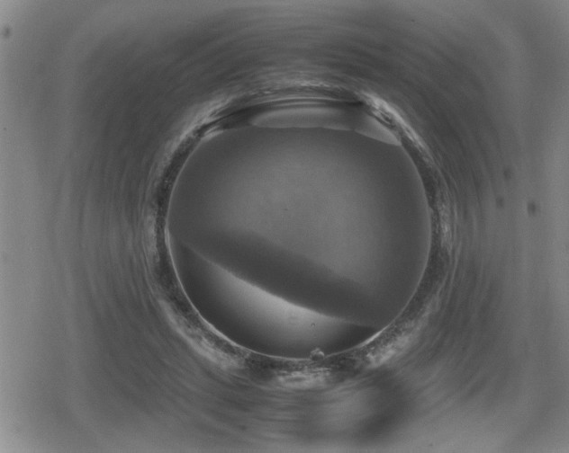 X0000080760447200612151414