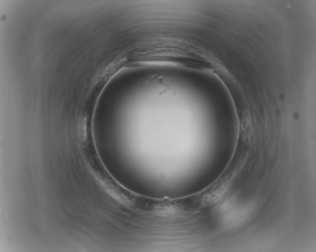 X0000080760454200612151414