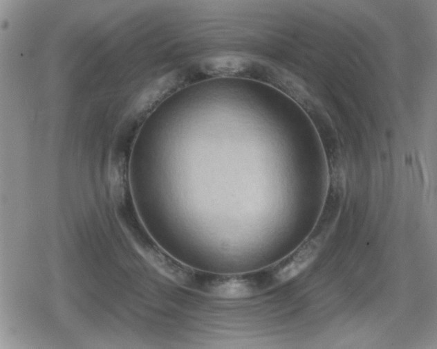 X0000080760460200612151414