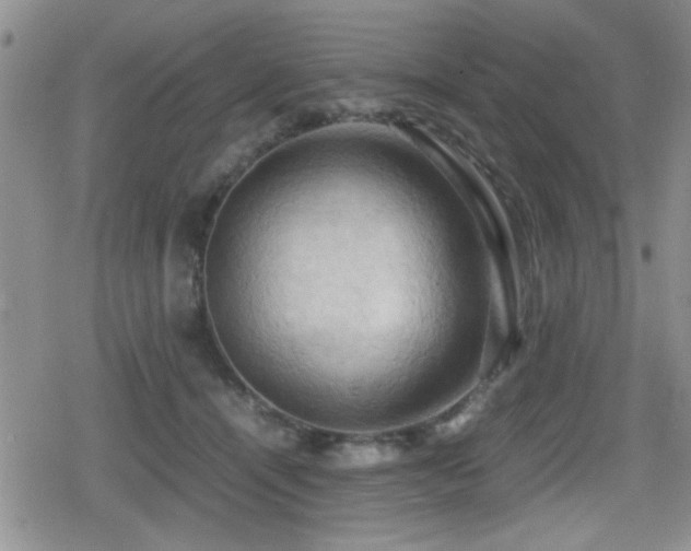 X0000080760464200612151414