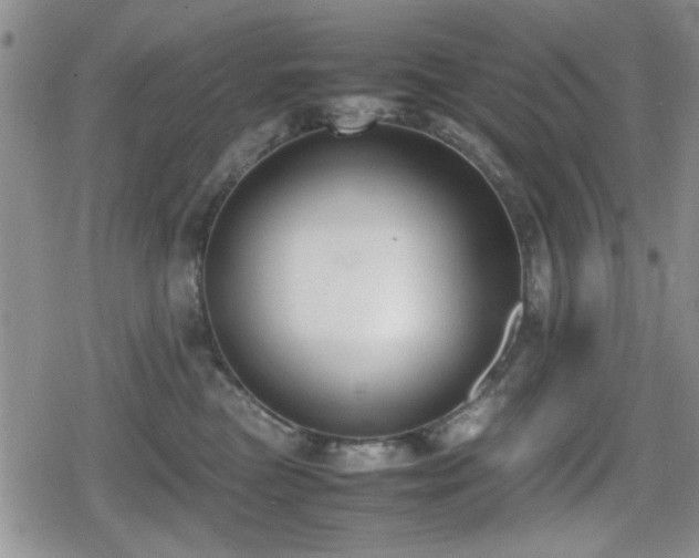 X0000080760473200612151414
