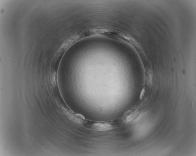 X0000080760477200612151414