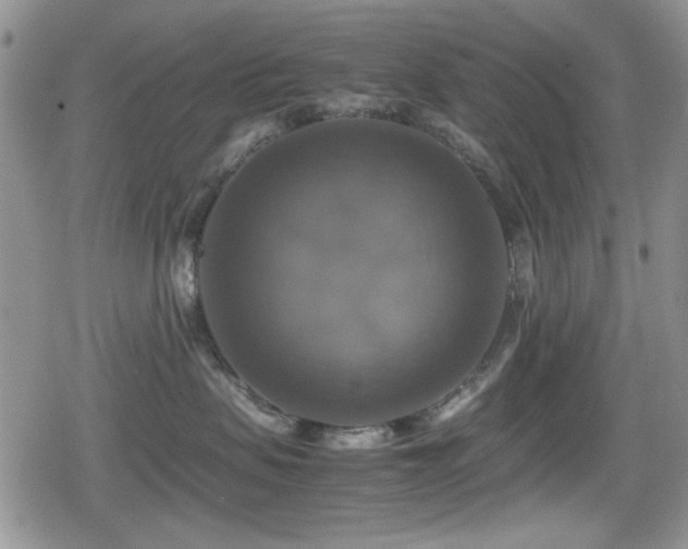 X0000080760479200612151414