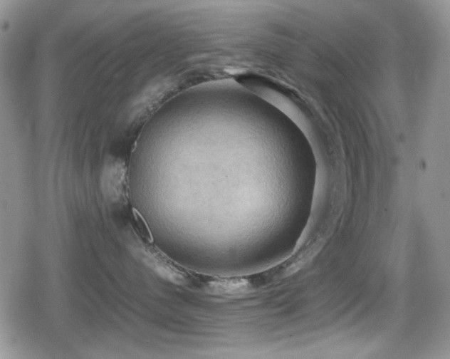 X0000080760480200612151414