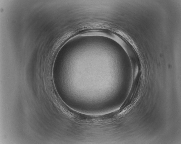 X0000080760481200612151413