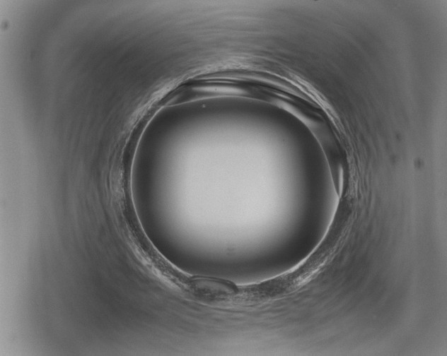 X0000080760485200612151413