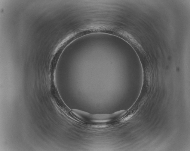 X0000080760488200612151413