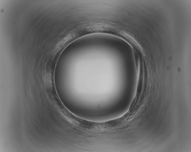 X0000080760489200612151413