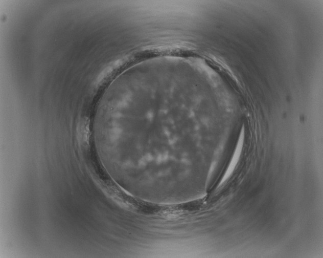 X0000080760495200612151413
