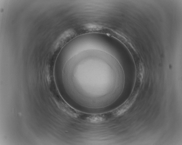 X0000080760512200612151413
