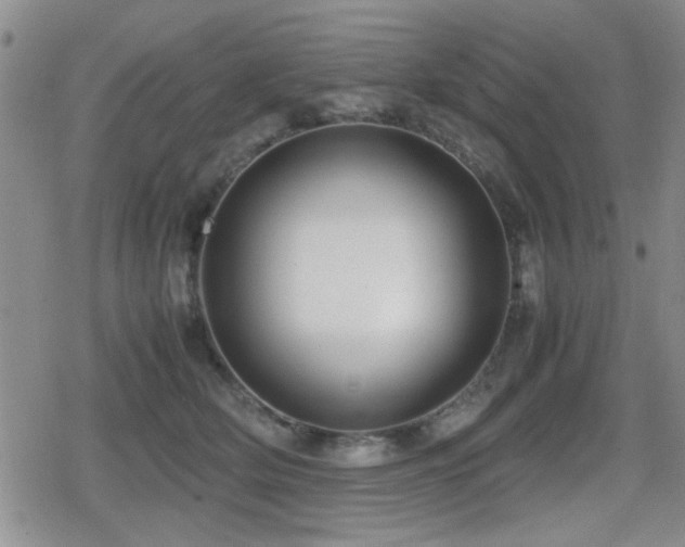 X0000080760514200612151413