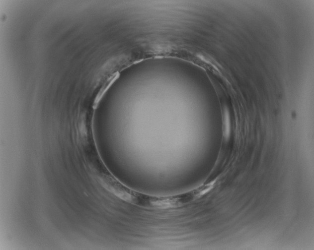 X0000080760516200612151413