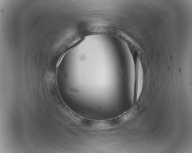 X0000080760521200612151413