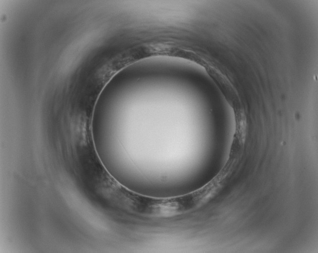 X0000080760525200612151413