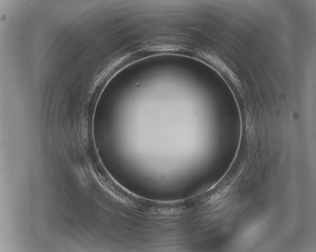 X0000080760533200612151412
