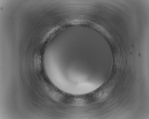 X0000080760592200612151411