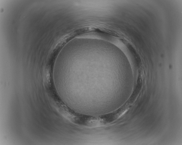 X0000080760595200612151411