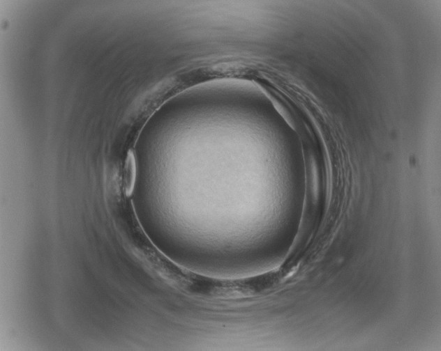 X0000080760597200612151411