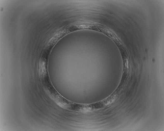 X0000080760598200612151411