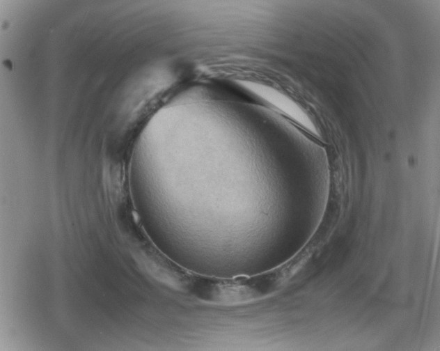 X0000080760605200612151411