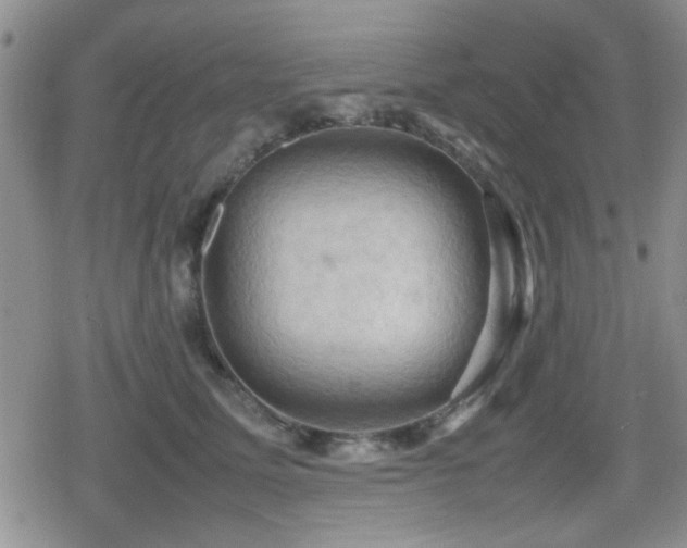 X0000080760611200612151411
