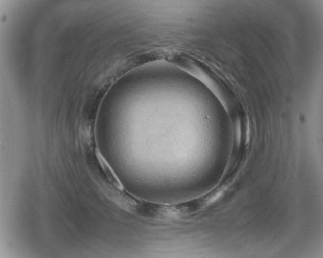X0000080760613200612151411
